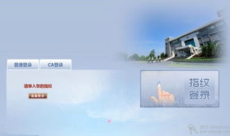 上海互聯網軟件集團 高端協同管理軟件與信息技術咨詢服務的卓越提供者