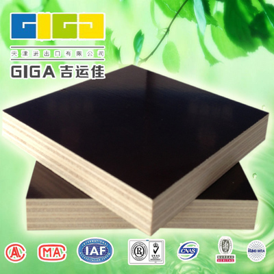 供應(yīng)東北沈陽建筑模板金亨建筑模板廠 沈陽建筑模板廠家直銷13502087050圖片_高清圖_細節(jié)圖